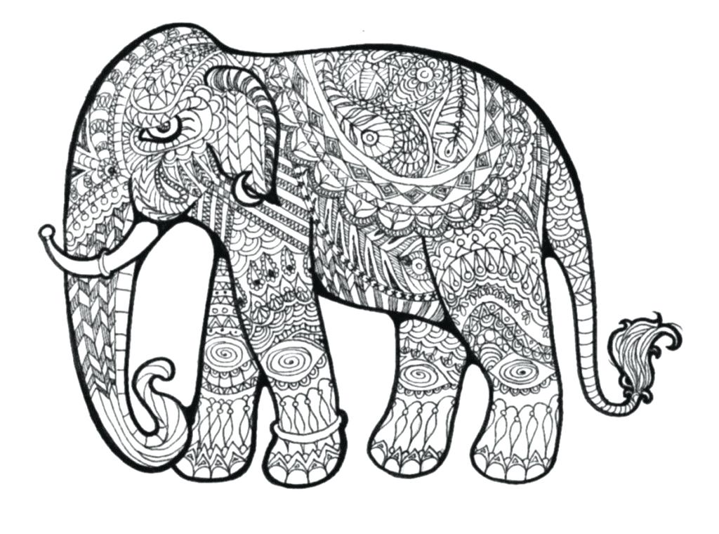 1024x760 Baby Elephant Coloring Pages Cute And Piggie Drawing At Free