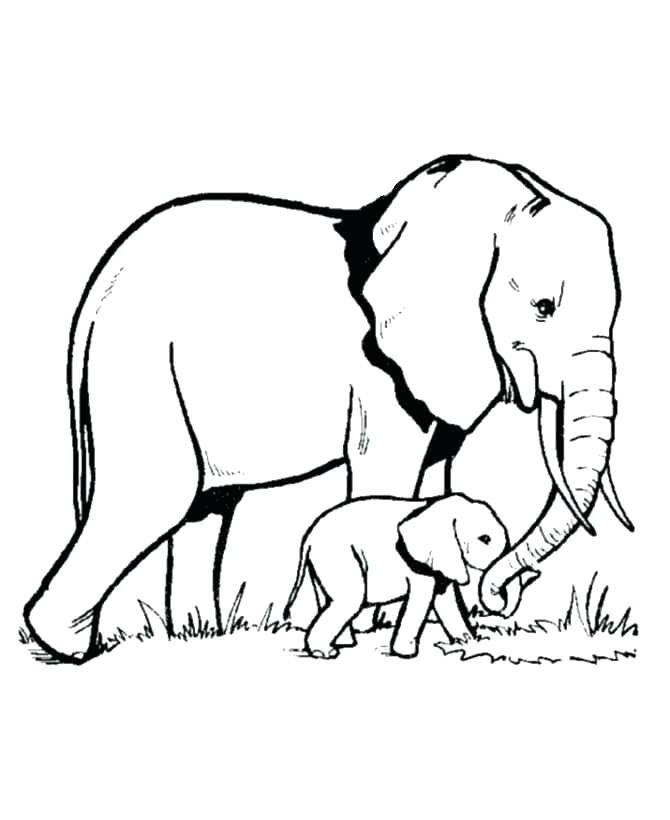 670x820 Baby Elephant Coloring Pages Cute Baby Elephant Coloring Pages