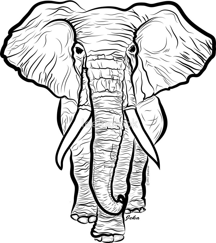 711x800 Elephant Drawing Original Black