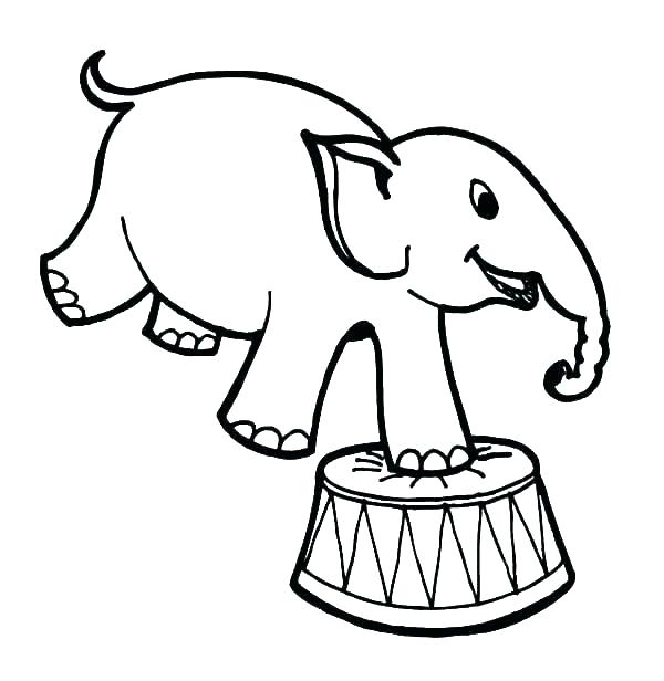 600x616 How To Draw A Circus Elephant Draw Circus Tiger