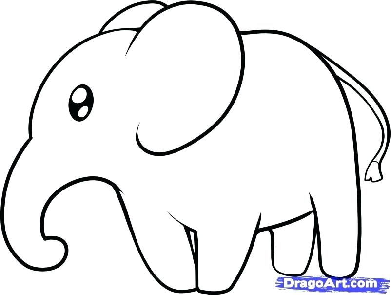 802x604 Elephant Drawing Easy