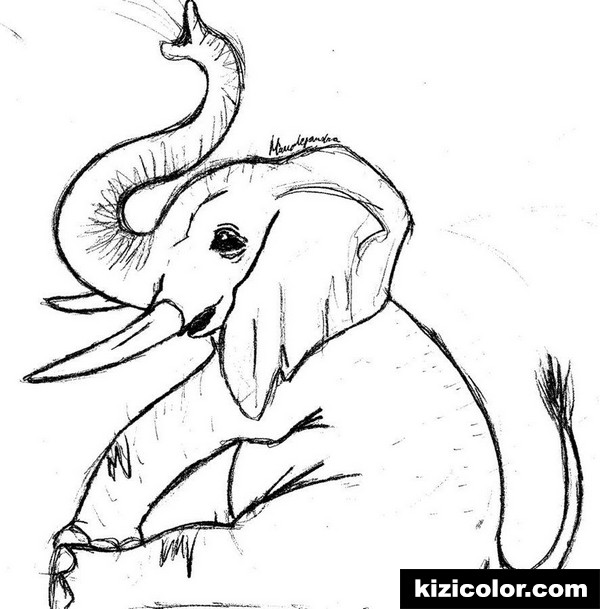 600x609 Elephant Drawing