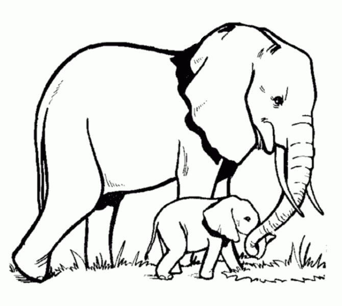 670x600 Elephant Drawing For Coloring Coloring Pages Elephant Drawing Kids