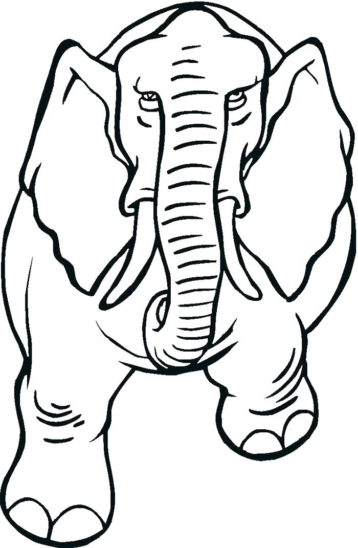 700x1071 How To Draw An Elephant For Kids Draw An Elephant Home Workout