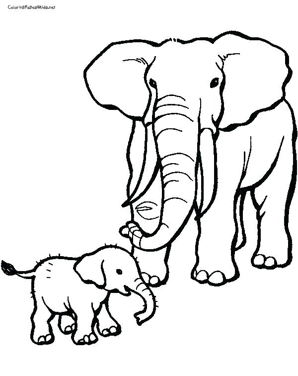 600x756 Elephant Coloring Pages For Kids Coloring Baby Elephant Coloring