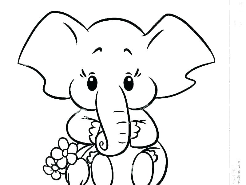 800x600 Baby Elephant Coloring