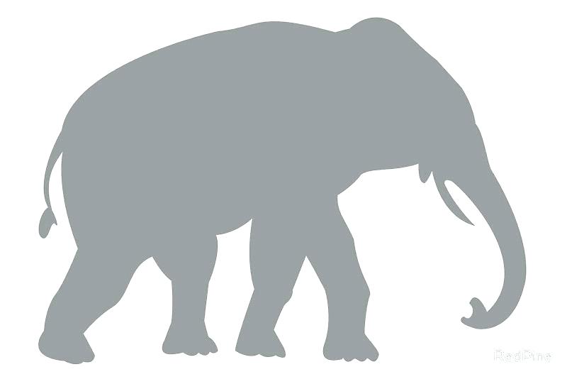 800x534 Elephant Drawing Outline Elephant Outline Elephant Outline Free