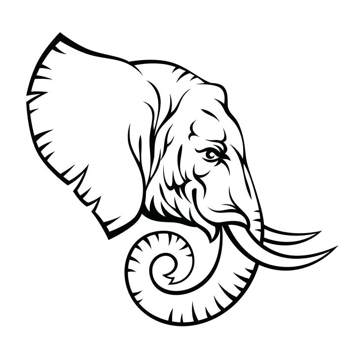 736x708 Elephant Drawing Outline New Simple Drawing Elephant Drawing Tips