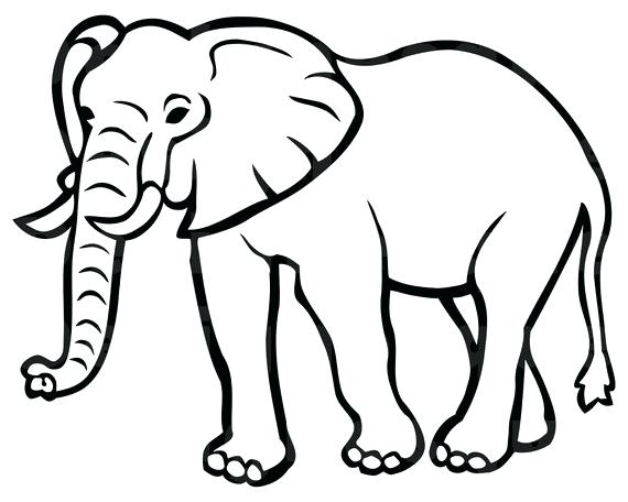 Elephant Drawing Pictures | Free download on ClipArtMag