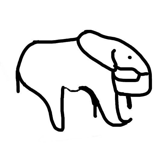 550x550 Elephant Shawn Mendes Tattoo Photographic Print