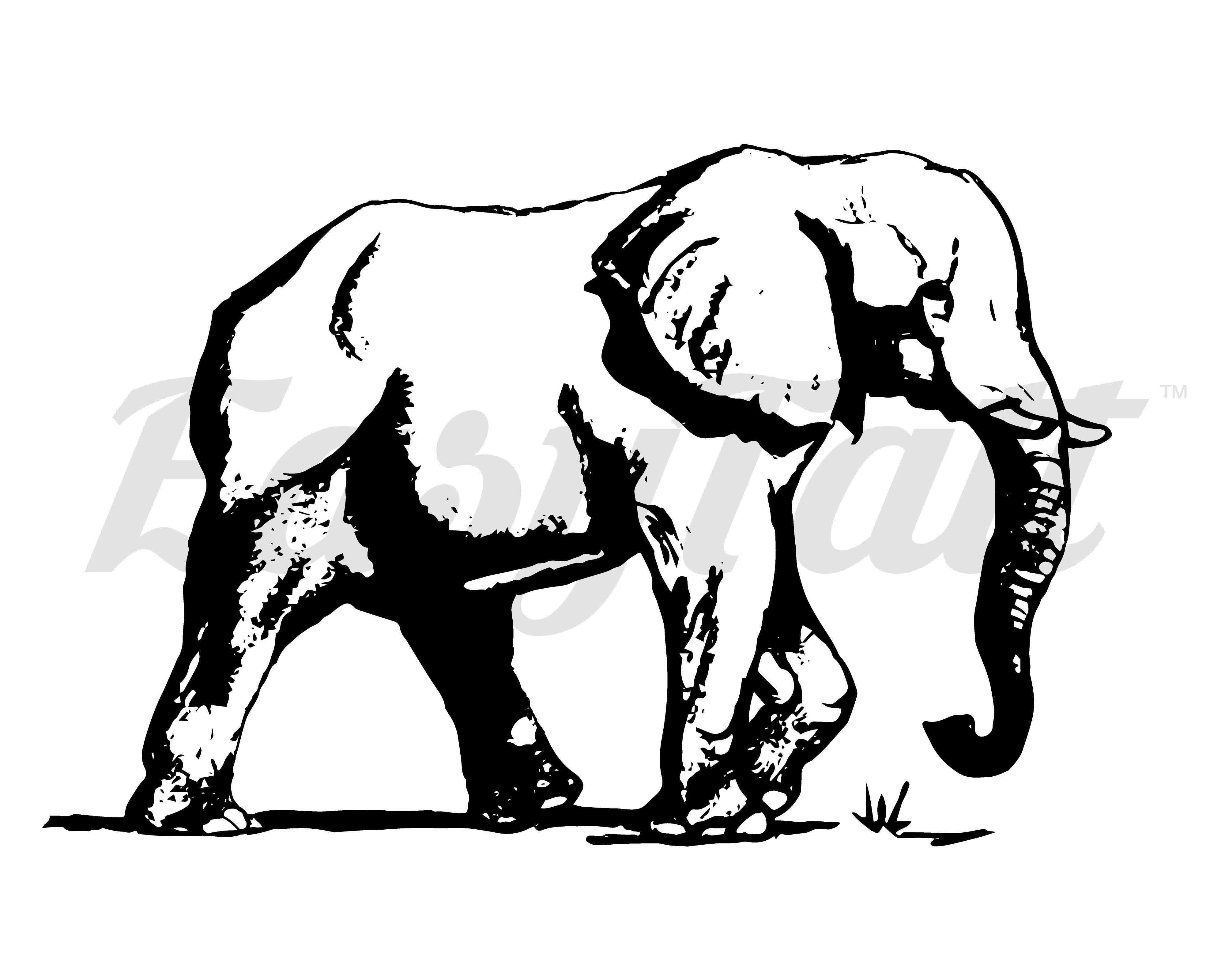 4000x3200 Elephant Temporary Tattoo And Elephant Fake Tattoos