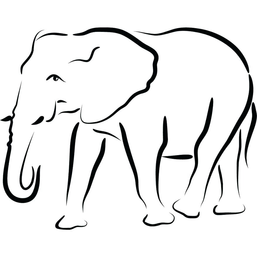 878x878 Outline Elephant Elephant Drawing Outline Tiny Elephant Outline