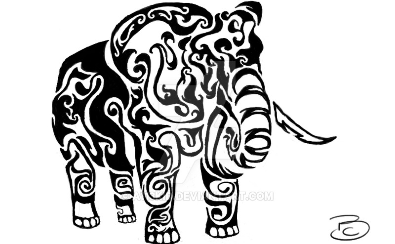 800x494 Elephant Tribal