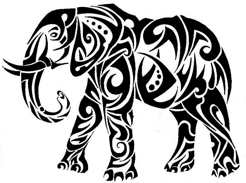 813x605 Black Ink Famous Tribal Elephant Tattoo Sample Truetattoos