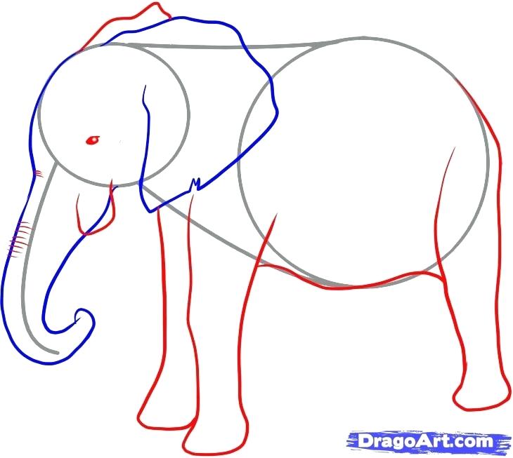 730x653 How To Draw A Elephant In Easy Way