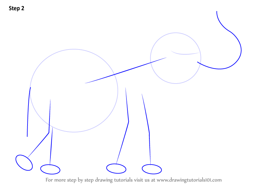 844x598 Learn How To Draw An Elephant With Its Trunk Up