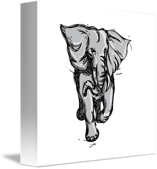 606x650 Elephant Rampaging Isolated Drawing