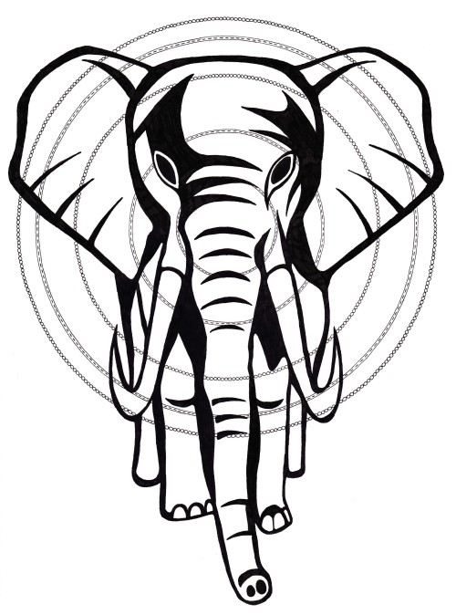 500x674 Zentangle Elephant Tumblr