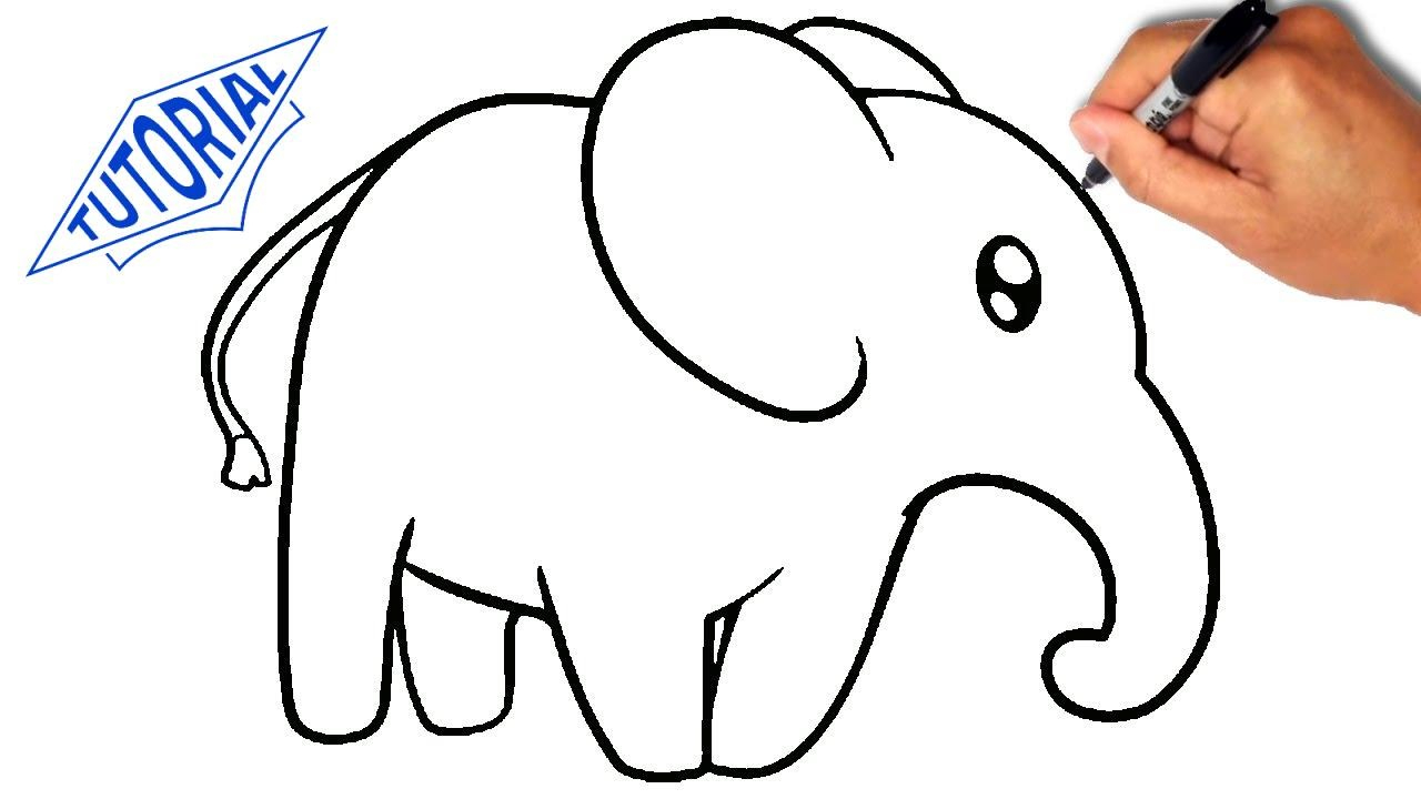 Elephant Drawing Tutorial