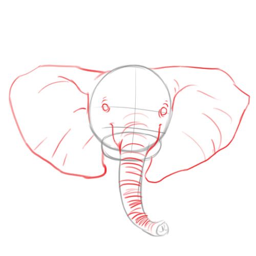 500x500 How To Draw A Baby Elephant Steps