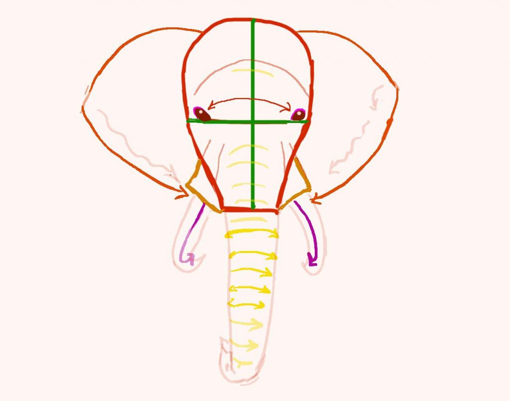 1024x805 How To Draw An Elephant