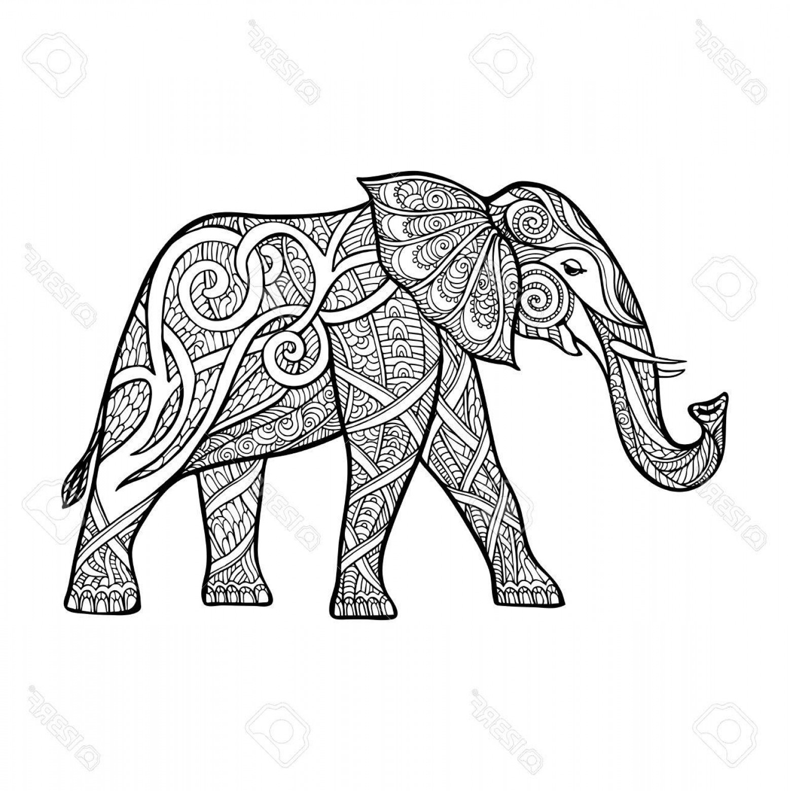 1558x1560 Elephant Outline Vector Soidergi