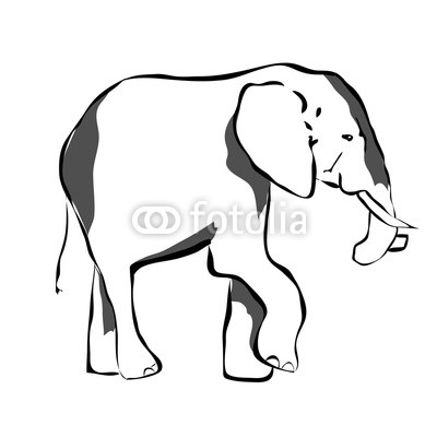 400x400 Big Elephant In Black And White Colors Wall Mural Wheel