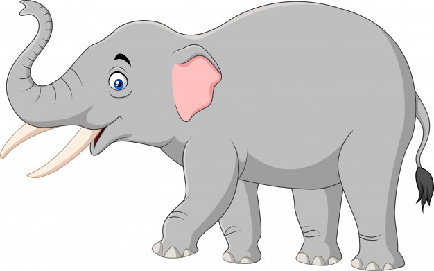 626x391 Elephant Vectors, Photos And Free Download