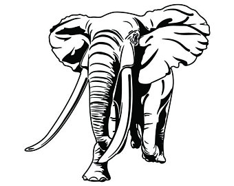 340x270 Elephant Trunk Etsy