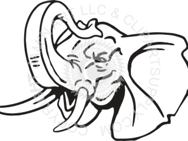 640x480 Download Hd Trunk Clipart Elephant Head