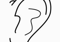 200x140 Elephant Ears Drawing