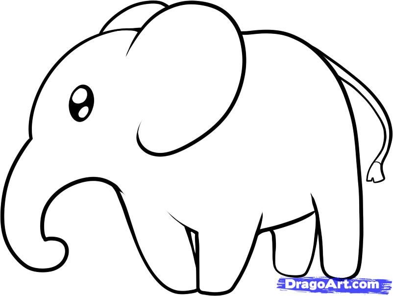 802x604 How To Draw An Elephant For Kids, Step