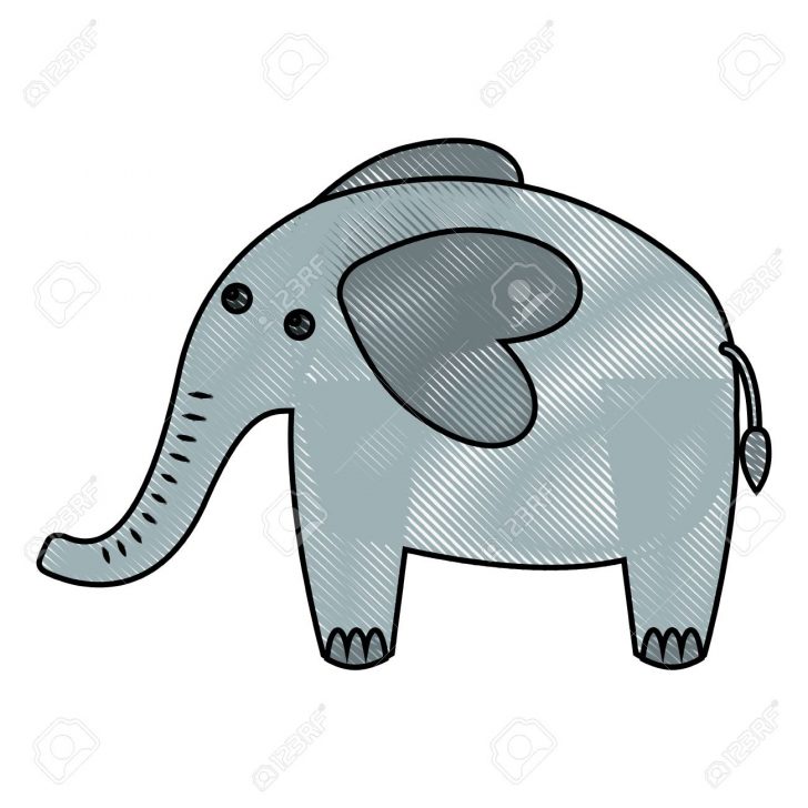 728x728 Cute Elephant Drawing Step