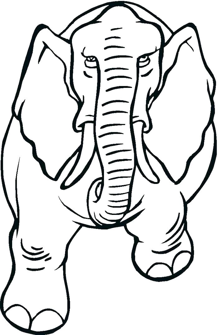 700x1071 Elephant Face Outline Cartoon Outline Elephant Clip Art Free