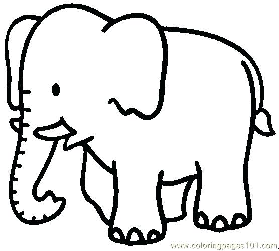 556x500 Elephant Face Outline Elephant Black And White Drawing At Baby