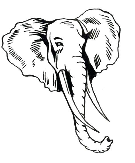 Elephant Face Drawing | Free download on ClipArtMag