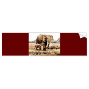 307x307 Vintage Animal Drawing Bumper Stickers