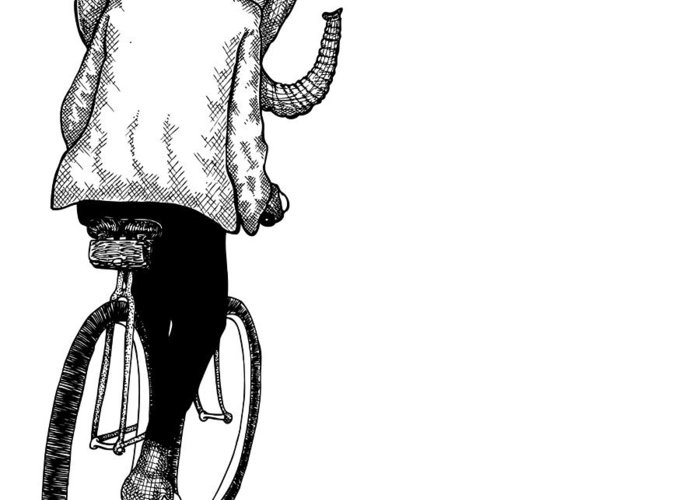 700x500 Elephant Bike Rider Greeting Card For Sale