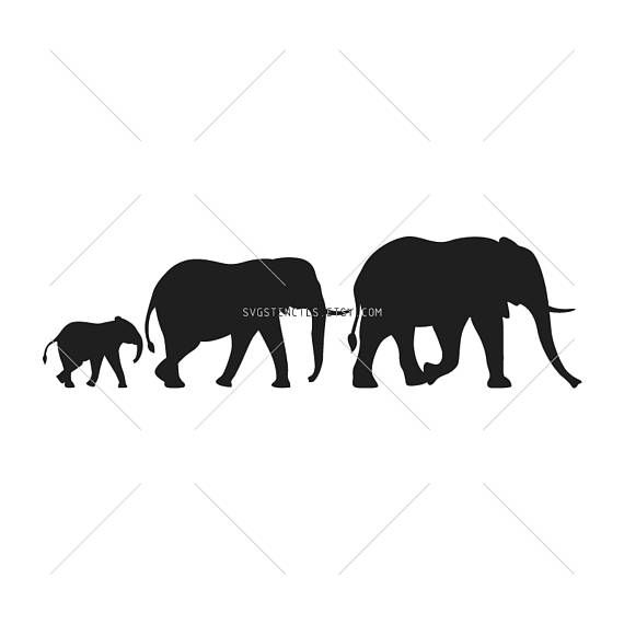 570x570 Elephant Front View Silhouette