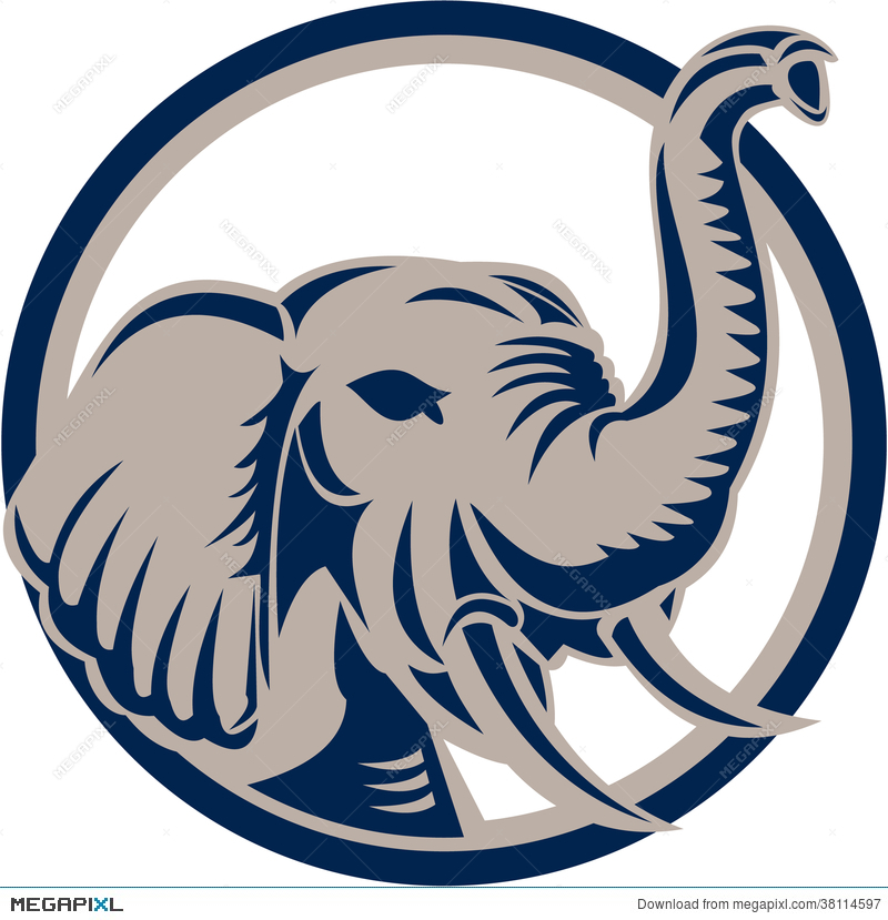 800x829 Elephant Head Front Retro Illustration