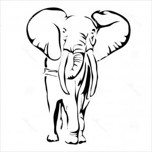 300x300 Elephant Head Front View This Silhouette May Be Vector Soidergi