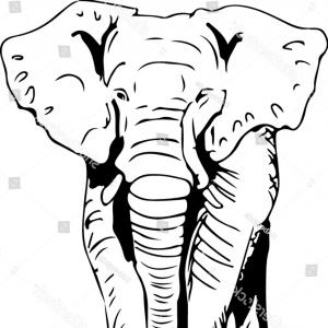 300x300 Cute Gray Elephant Couple Holding Heart Shaped Valentine Balloons