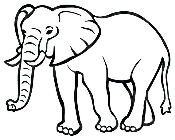 570x456 Elephant Clipart Outline Elephant Head Clipart Outline Clanfield