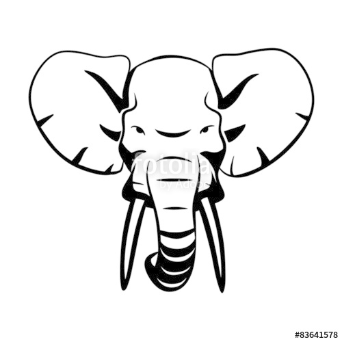 500x500 Elephant Head Stock Image And Royalty Free Vector