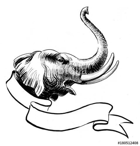 478x500 Ink Drawing Of An Elephant Head And Banner Stock Photo
