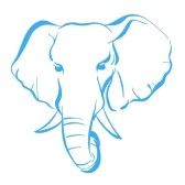 168x168 Elephant Elephants, Animals, Pets, Quotes Prayers Elephant