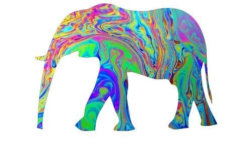 500x281 Tumblr Clipart Elephants