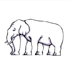 250x250 Elephant Head Drawing Easy Baby Tutorial Cute Step