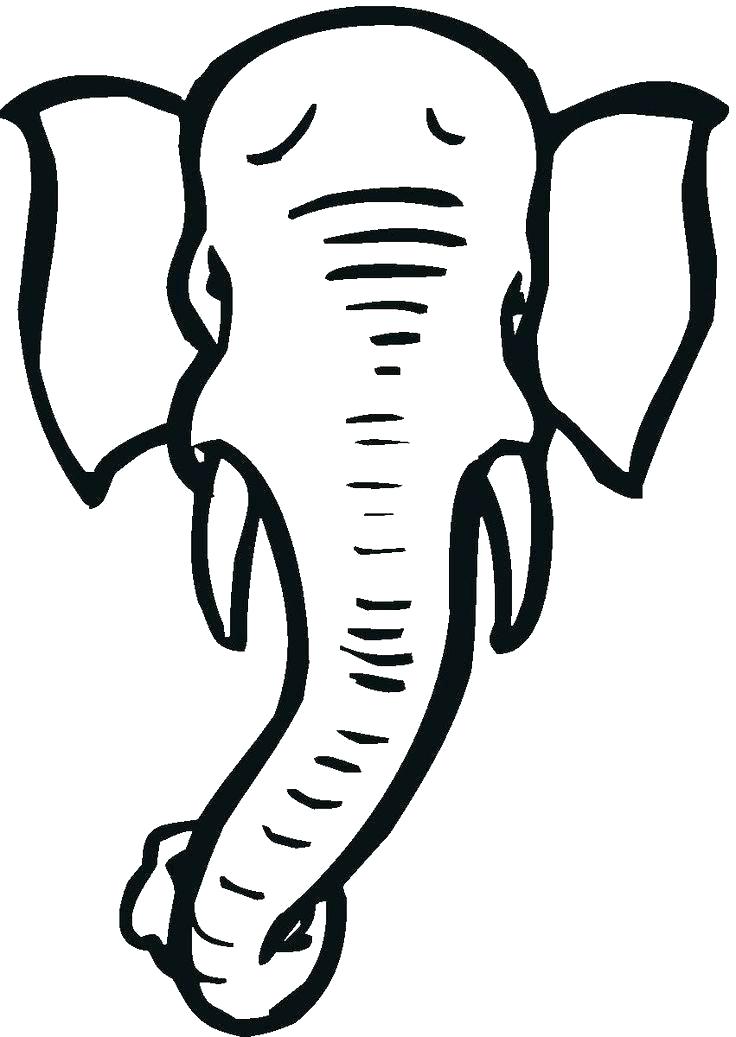 736x1037 Elephant Outline Drawing Elephant Drawing With Trunk Up Indian