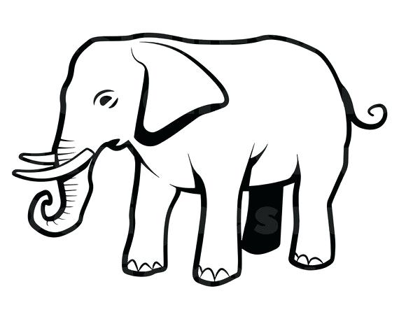 570x456 Outline Of A Elephant Elephant Outline Elephant Outline Image Baby